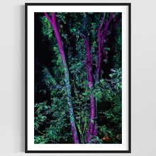 Laden Sie das Bild in den Galerie-Viewer, Hidden Places Project India 2017  (signed + Frame)