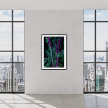 Laden Sie das Bild in den Galerie-Viewer, Hidden Places Project India 2017  (signed + Frame)