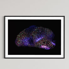Load image into Gallery viewer, Hidden Places Stein/ Stone 2021 (signed + Frame)