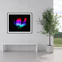 Laden Sie das Bild in den Galerie-Viewer, Hidden Places Magnolia Flower 2016  (signed + Frame)