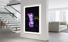 Laden Sie das Bild in den Galerie-Viewer, Berlin Hidden Places Garbage can/ Mülleimer 2020  (signed + Frame)