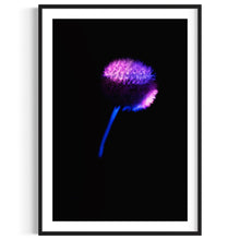 Laden Sie das Bild in den Galerie-Viewer, Berlin Hidden Places blowball/ dandelion/  Pusteblume 2020  (signed + Frame)