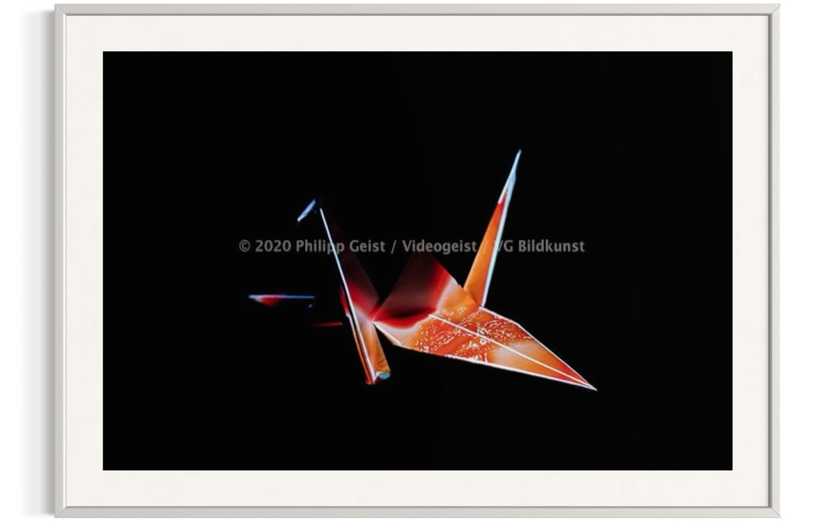Hidden Places Origami Crane 2020  (signed + Frame)