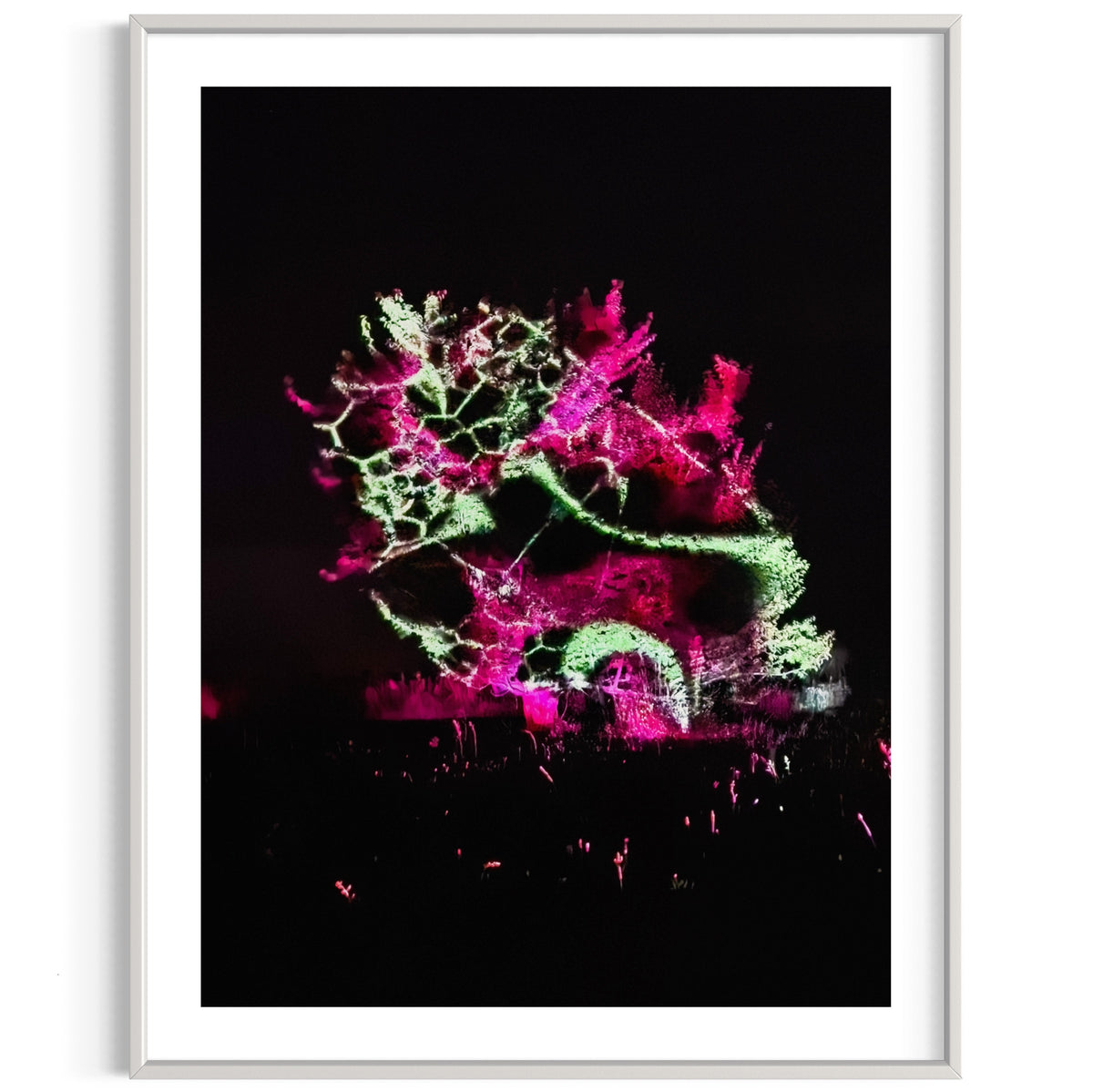 Hidden Places Katerbow Magnolien Baum 2022 (signed + Frame)