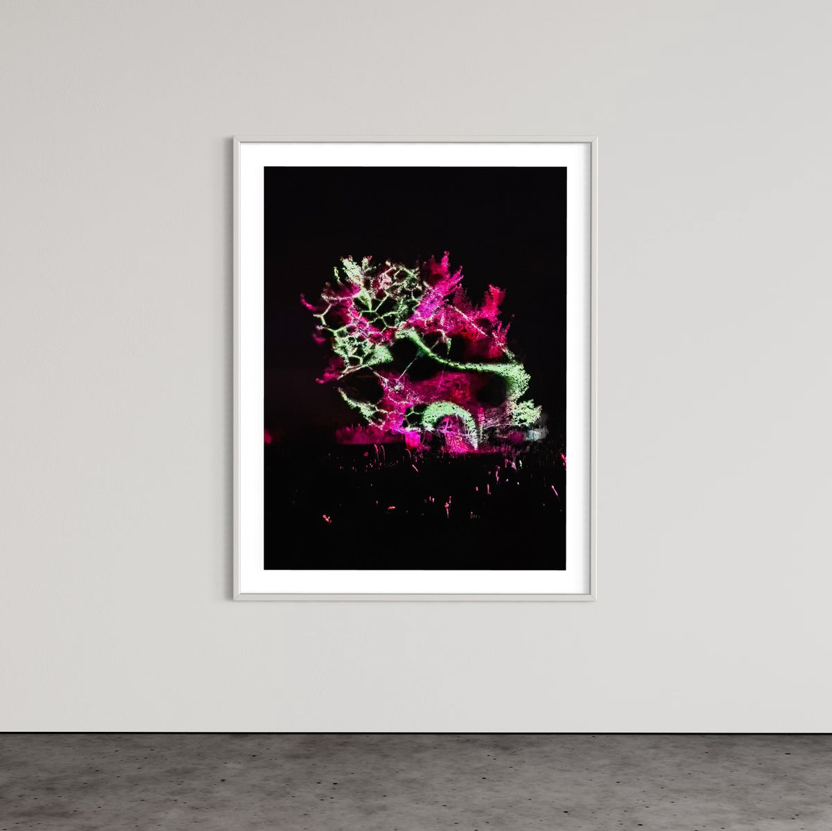 Hidden Places Katerbow Magnolien Baum 2022 (signed + Frame)