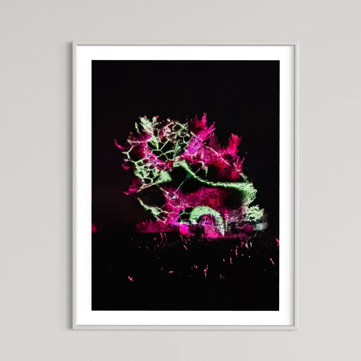 Hidden Places Katerbow Magnolien Baum 2022 (signed + Frame)