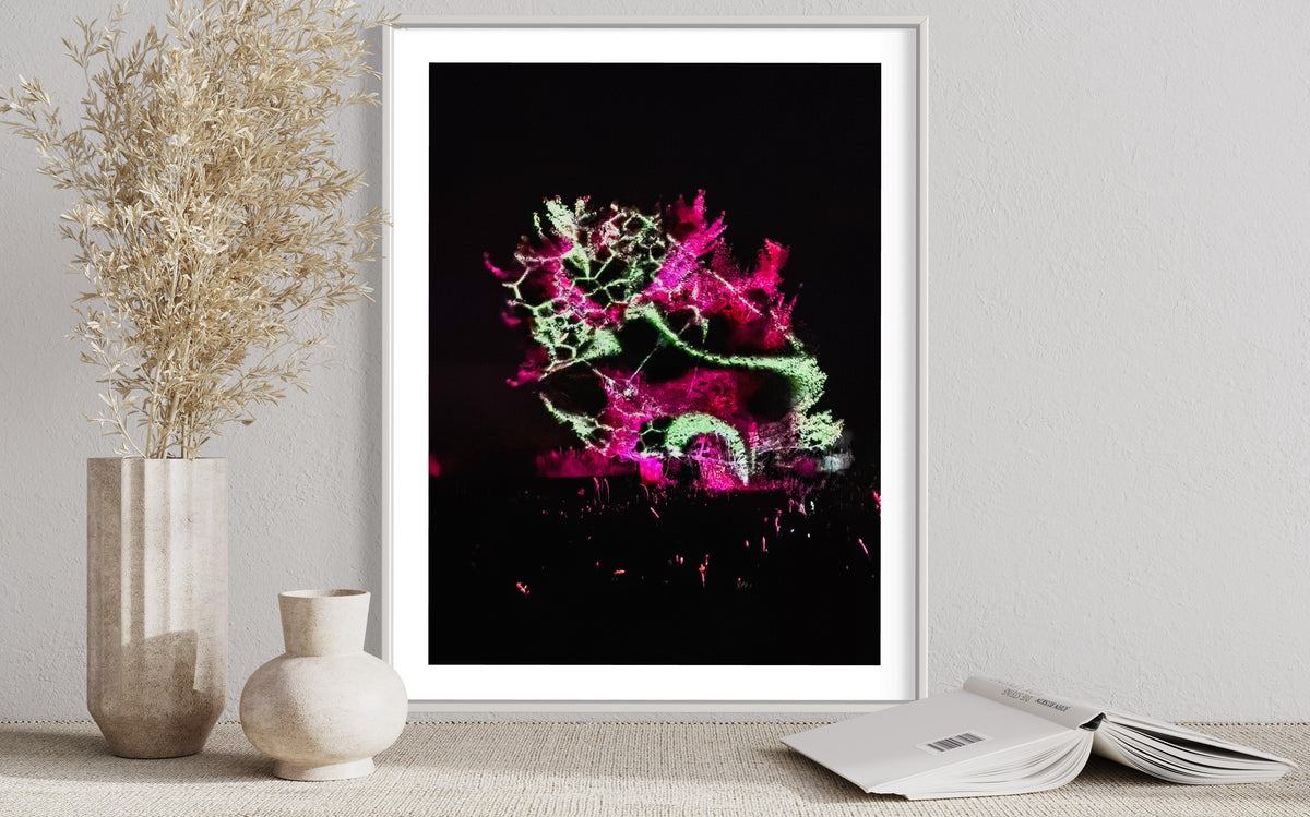 Hidden Places Katerbow Magnolien Baum 2022 (signed + Frame)
