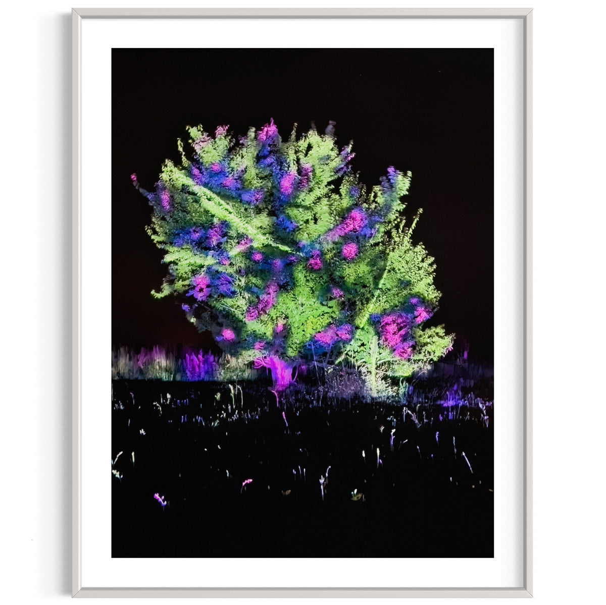 Hidden Places Katerbow Magnolien Baum 2022 (signed + Frame)