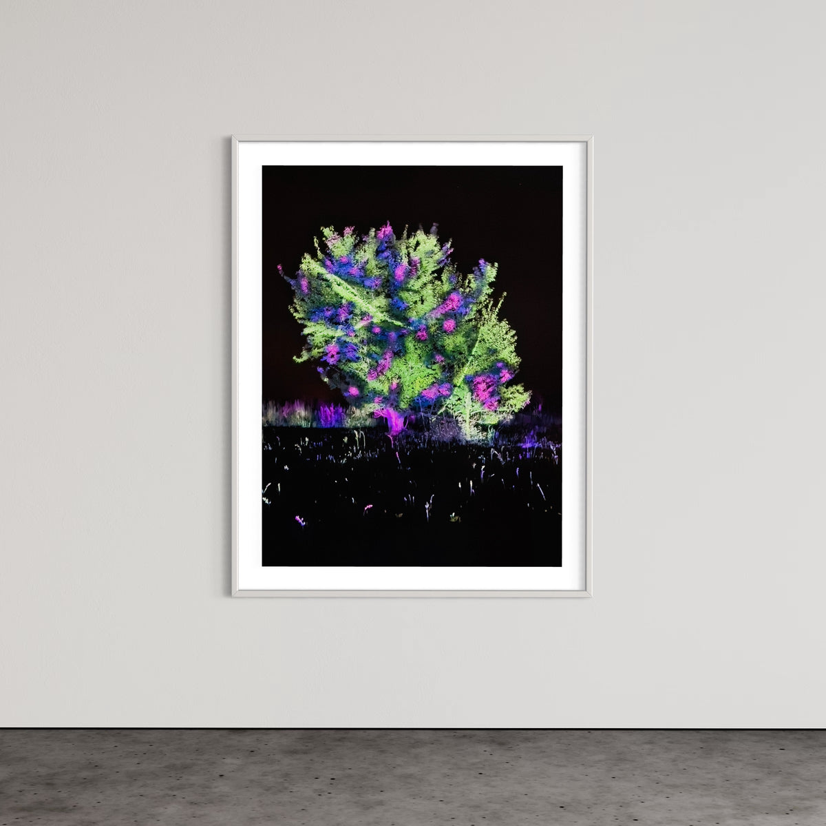 Hidden Places Katerbow Magnolien Baum 2022 (signed + Frame)