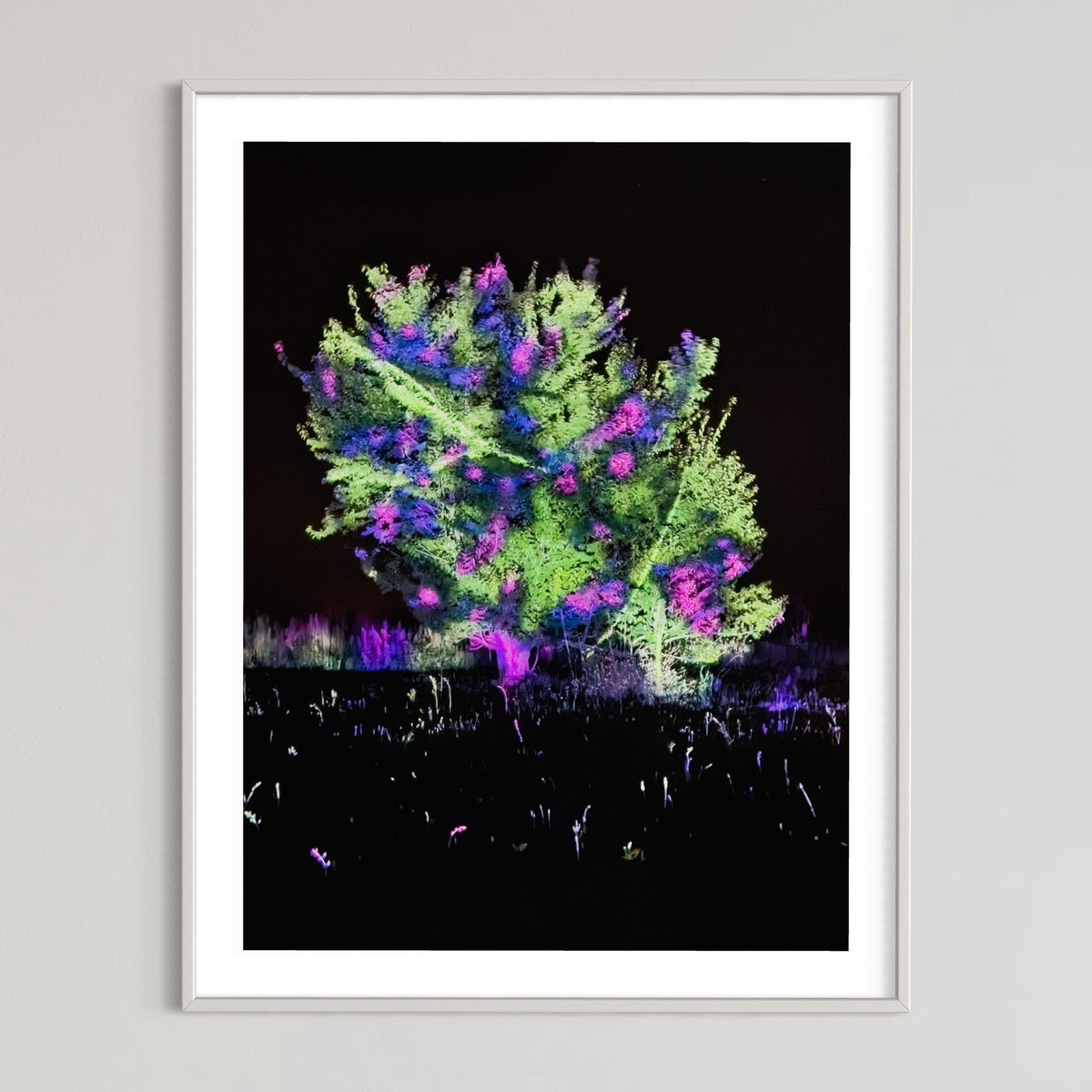 Hidden Places Katerbow Magnolien Baum 2022 (signed + Frame)