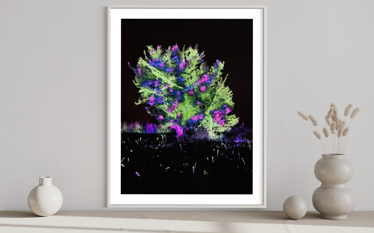Hidden Places Katerbow Magnolien Baum 2022 (signed + Frame)