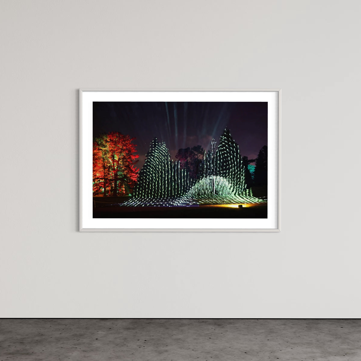 Berlin Botanischer Garten „Leben.Baum.Licht“ 2022 (signed + Frame)