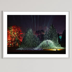 Berlin Botanischer Garten „Leben.Baum.Licht“ 2022 (signed + Frame)