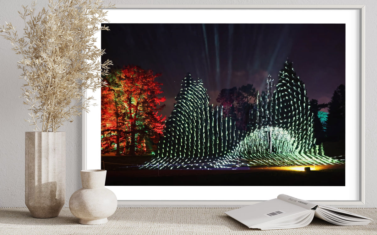 Berlin Botanischer Garten „Leben.Baum.Licht“ 2022 (signed + Frame)