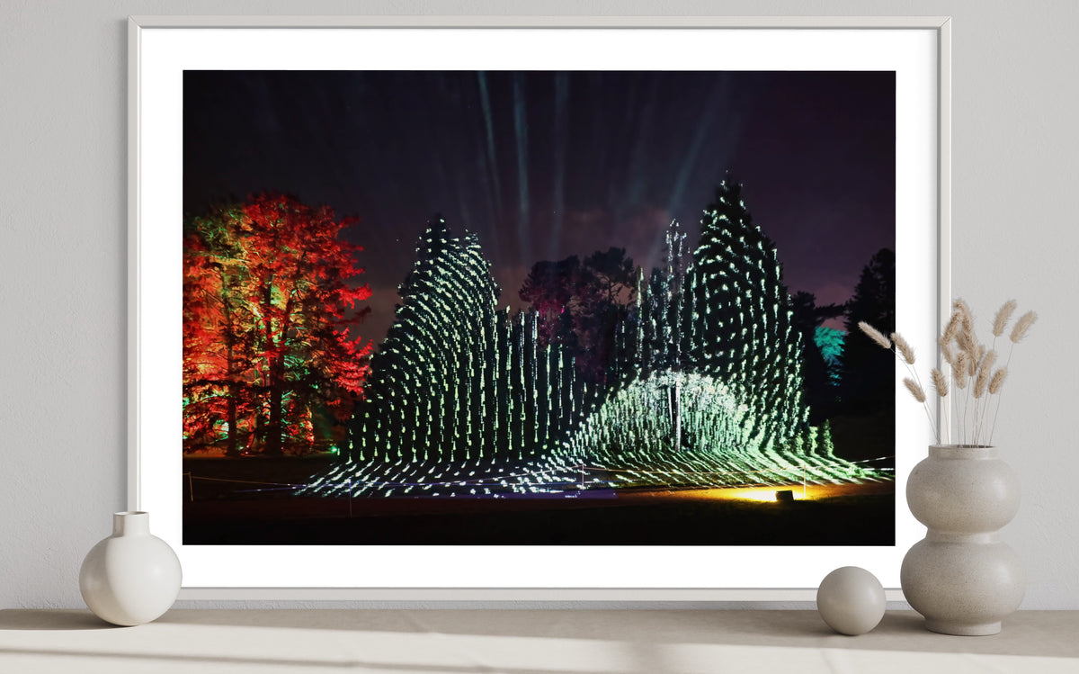 Berlin Botanischer Garten „Leben.Baum.Licht“ 2022 (signed + Frame)