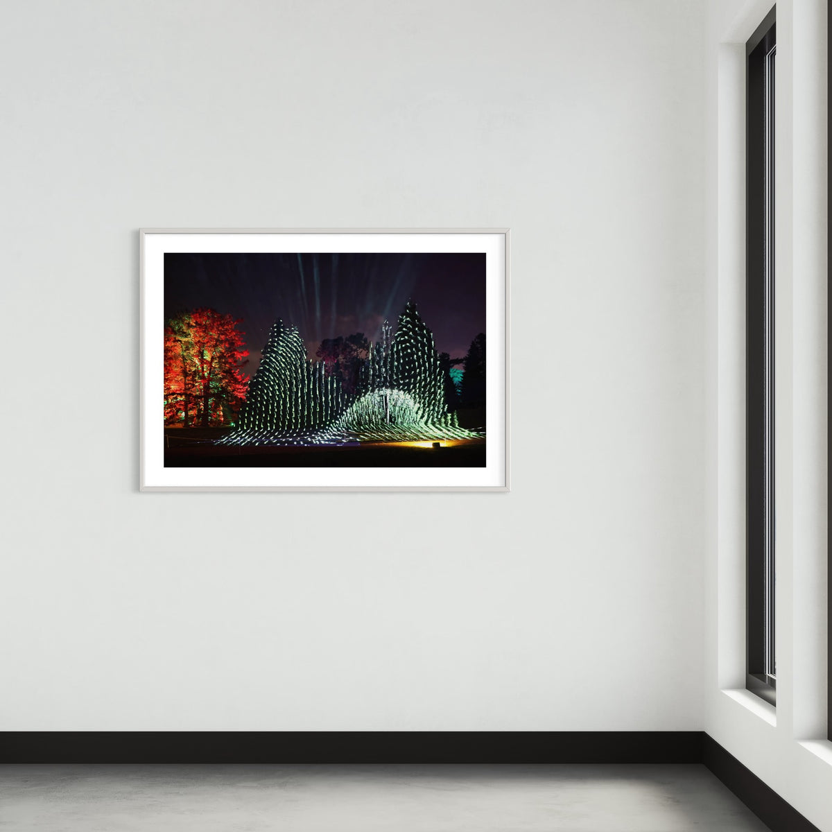 Berlin Botanischer Garten „Leben.Baum.Licht“ 2022 (signed + Frame)