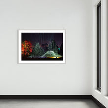 Load image into Gallery viewer, Berlin Botanischer Garten „Leben.Baum.Licht“ 2022 (signed + Frame)
