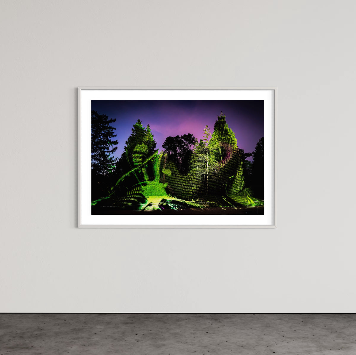 Berlin Botanischer Garten „Leben.Baum.Licht“ 2022 (signed + Frame)