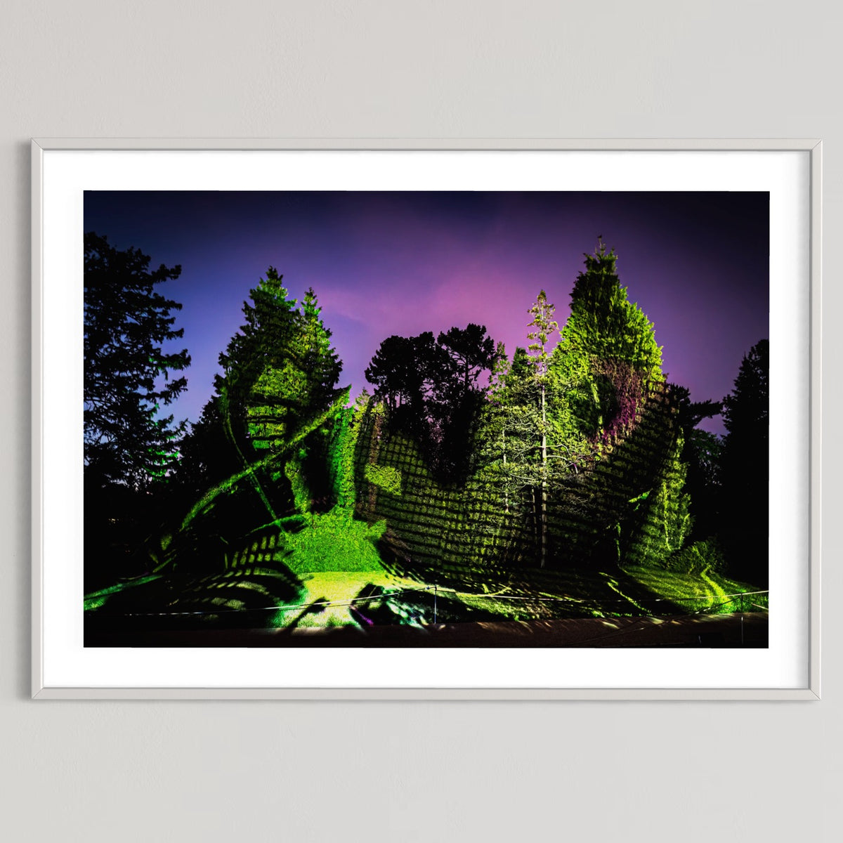 Berlin Botanischer Garten „Leben.Baum.Licht“ 2022 (signed + Frame)