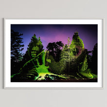 Laden Sie das Bild in den Galerie-Viewer, Berlin Botanischer Garten „Leben.Baum.Licht“ 2022 (signed + Frame)
