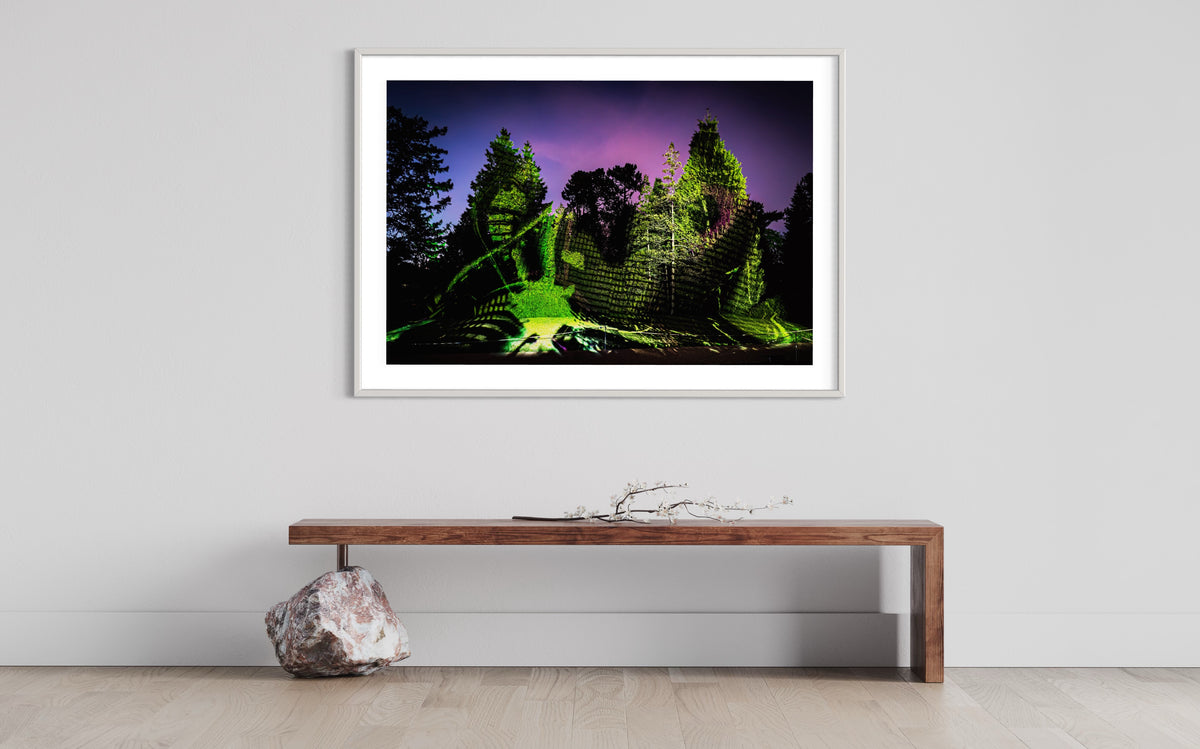 Berlin Botanischer Garten „Leben.Baum.Licht“ 2022 (signed + Frame)