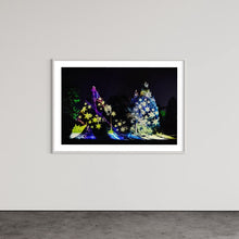 Laden Sie das Bild in den Galerie-Viewer, Berlin Botanischer Garten „Leben.Baum.Licht“ 2022 (signed + Frame)
