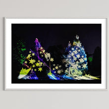 Load image into Gallery viewer, Berlin Botanischer Garten „Leben.Baum.Licht“ 2022 (signed + Frame)
