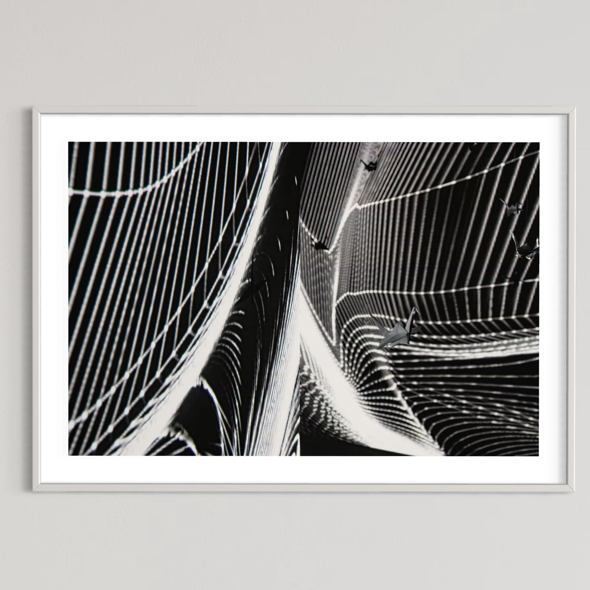fragile shades - 2022 Murten Festival Schweiz Swiss Musée de Morat / Museum Murten (signed + Frame)