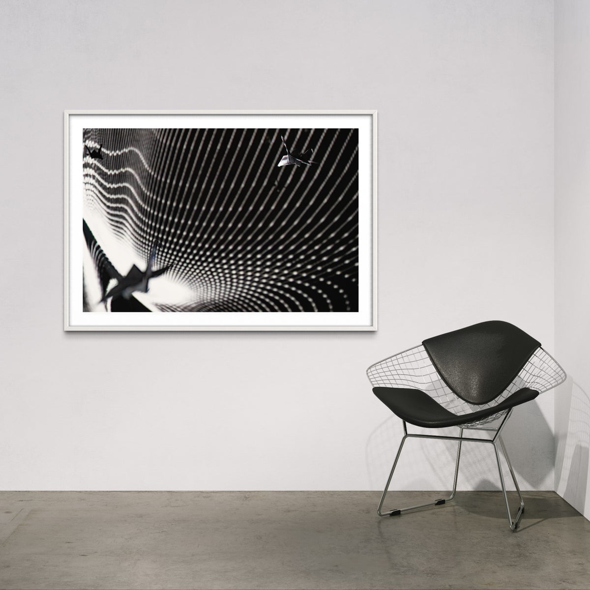 fragile shades - 2022 Murten Festival Schweiz Swiss Musée de Morat / Museum Murten (signed + Frame)