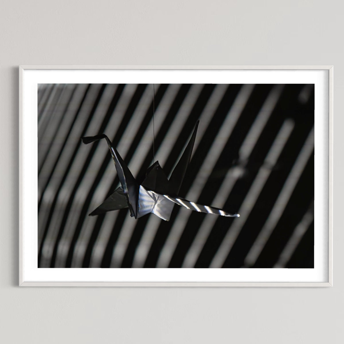 fragile shades - 2022 Murten Festival Schweiz Swiss Musée de Morat / Museum Murten (signed + Frame)