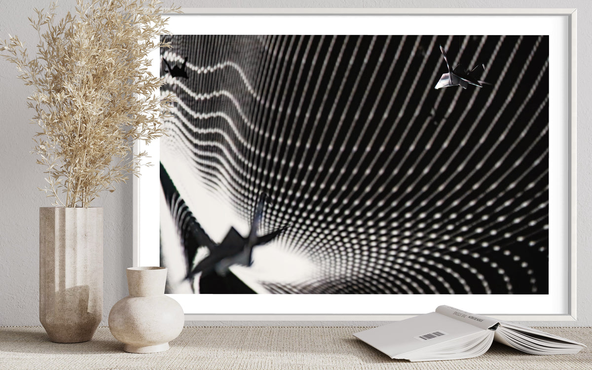 fragile shades - 2022 Murten Festival Schweiz Swiss Musée de Morat / Museum Murten (signed + Frame)