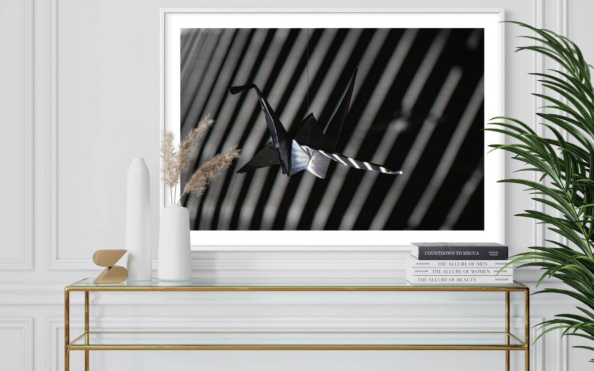 fragile shades - 2022 Murten Festival Schweiz Swiss Musée de Morat / Museum Murten (signed + Frame)