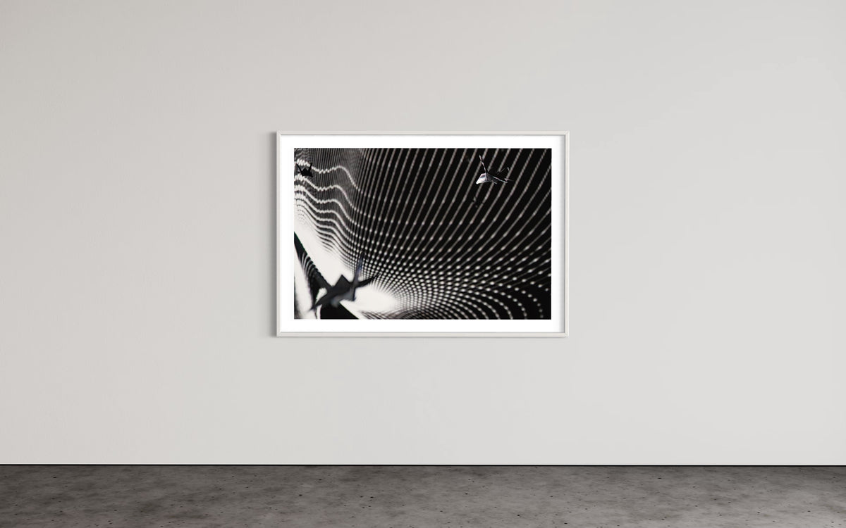 fragile shades - 2022 Murten Festival Schweiz Swiss Musée de Morat / Museum Murten (signed + Frame)