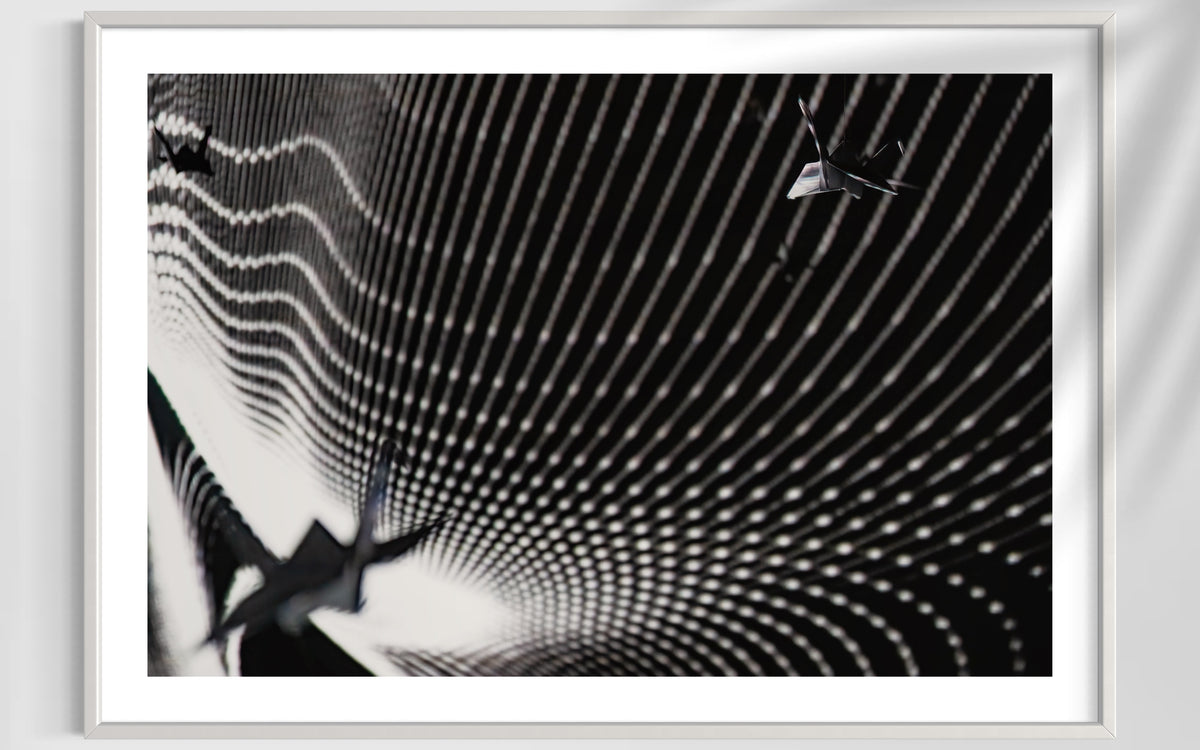 fragile shades - 2022 Murten Festival Schweiz Swiss Musée de Morat / Museum Murten (signed + Frame)