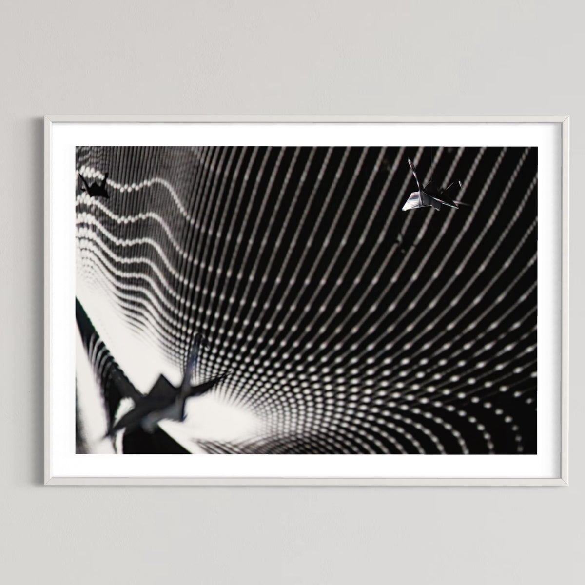 fragile shades - 2022 Murten Festival Schweiz Swiss Musée de Morat / Museum Murten (signed + Frame)