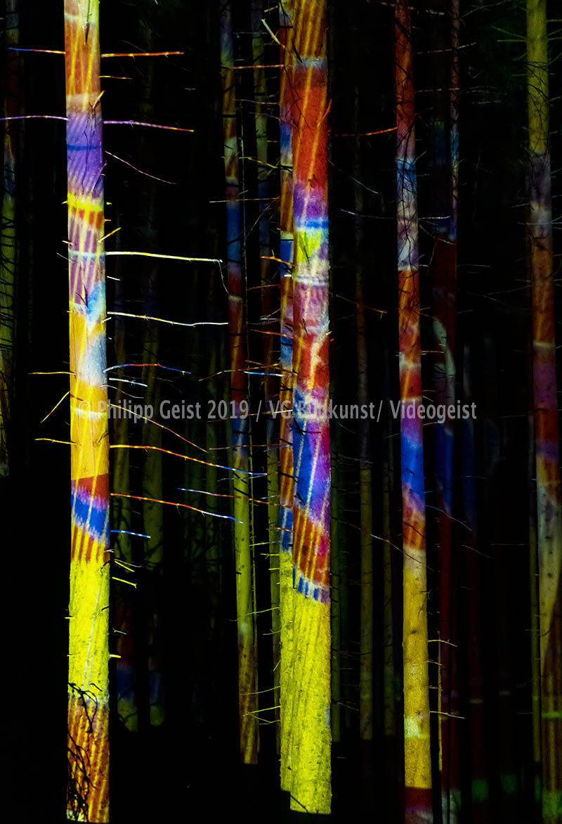 Weilheim/ Polling Wald/ Forest Hidden Places 2016 (signed + Frame)