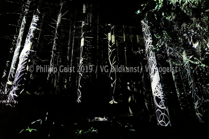 Weilheim/ Polling Wald/ Forest Hidden Places 2016 (signed + Frame)