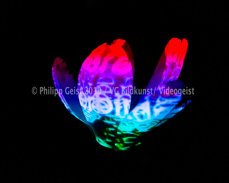 Hidden Places Magnolia Flower 2016  (signed + Frame)