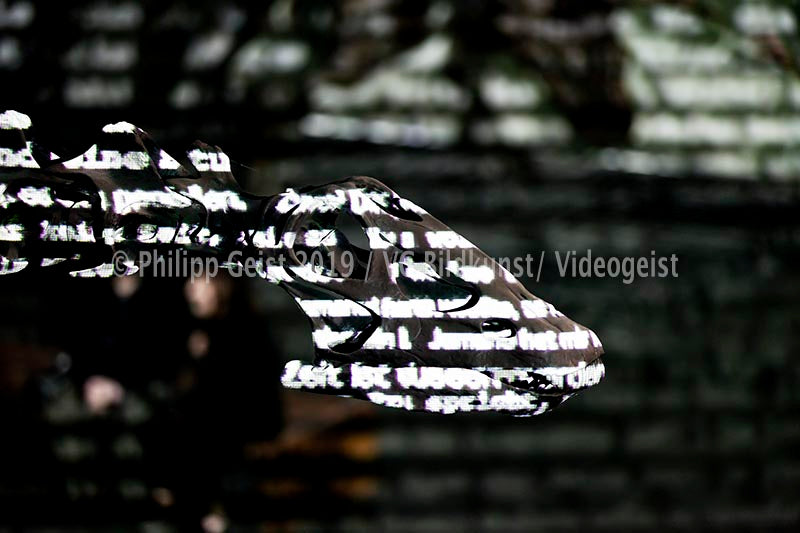 Frankfurt 2010 Luminale Time Shadows  (signed + Frame)