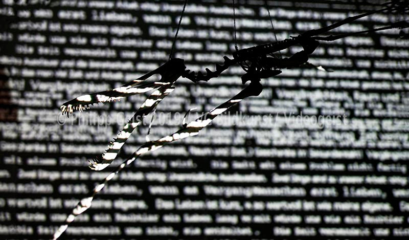 Frankfurt 2010 Luminale Time Shadows  (signed + Frame)