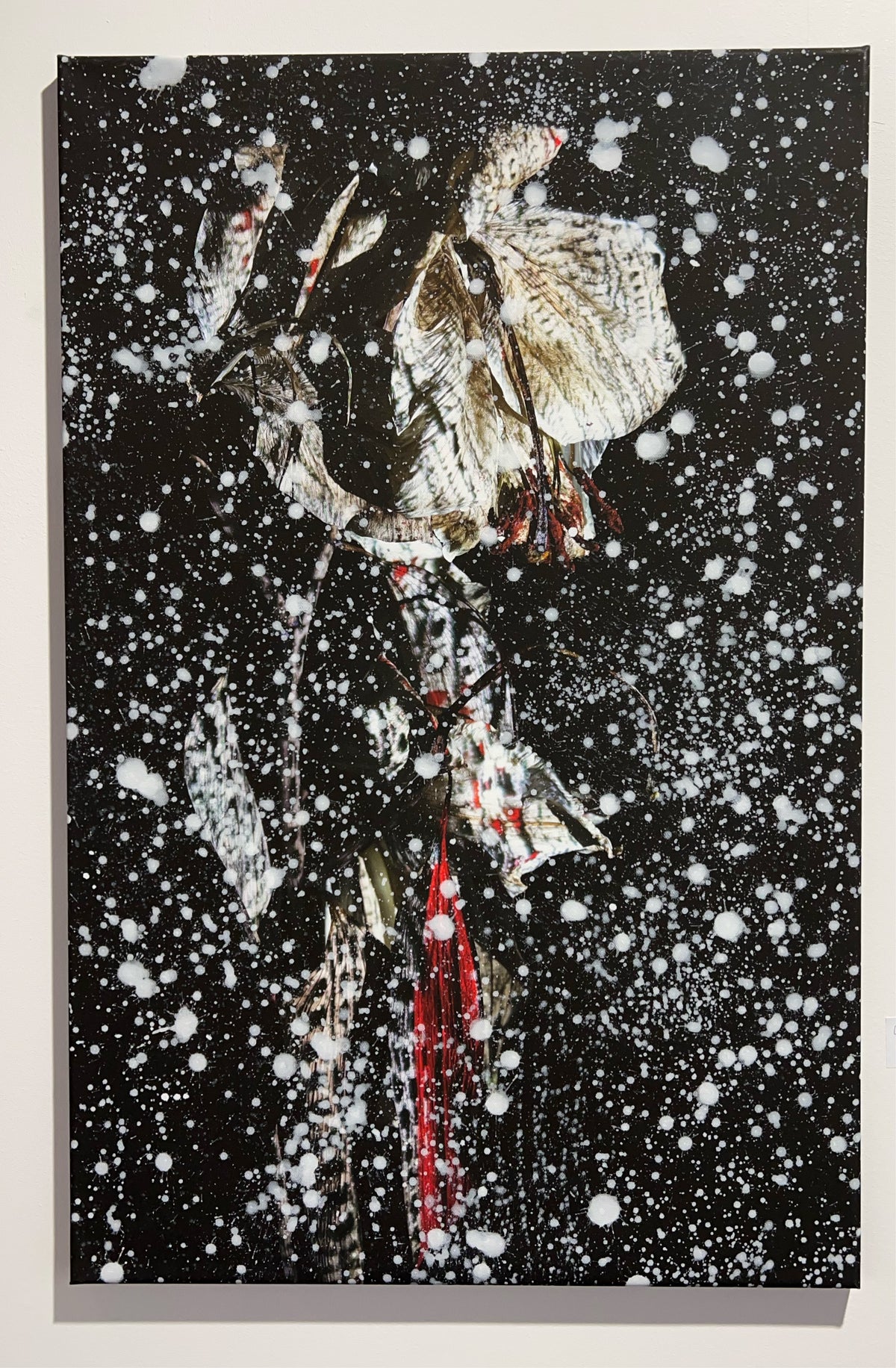 Overpainting Fine Art Print on Canvas 2022  Hidden Places Lilie/ lily Flower 2019 video installation
