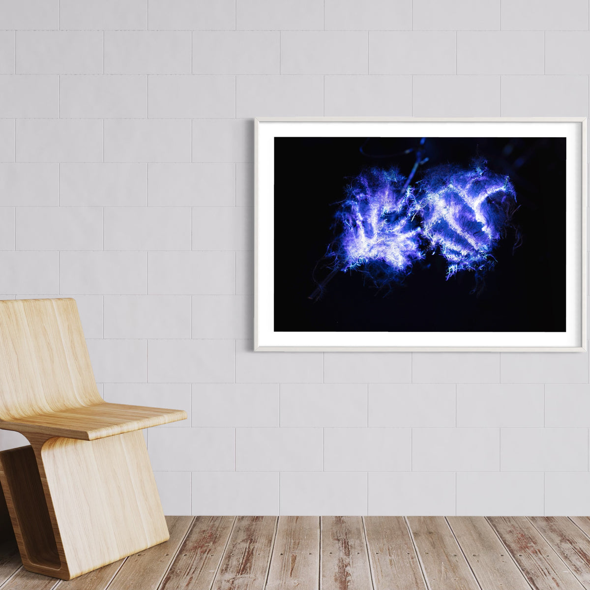 Hidden Places Waldrebe / Clematis 2021 (signed + Frame)