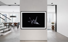 Laden Sie das Bild in den Galerie-Viewer, Hidden Places Origami Crane 2020  (signed + Frame)
