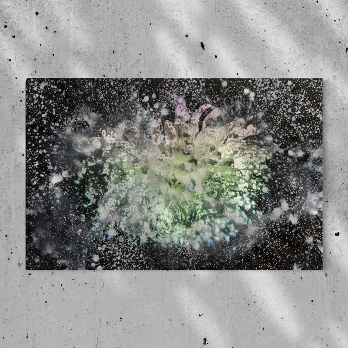 Overpainting Fine Art Print on Canvas 2022  Berlin 2019 Hidden Places  chrysanthemum flowers/  Chrysantheme video installation