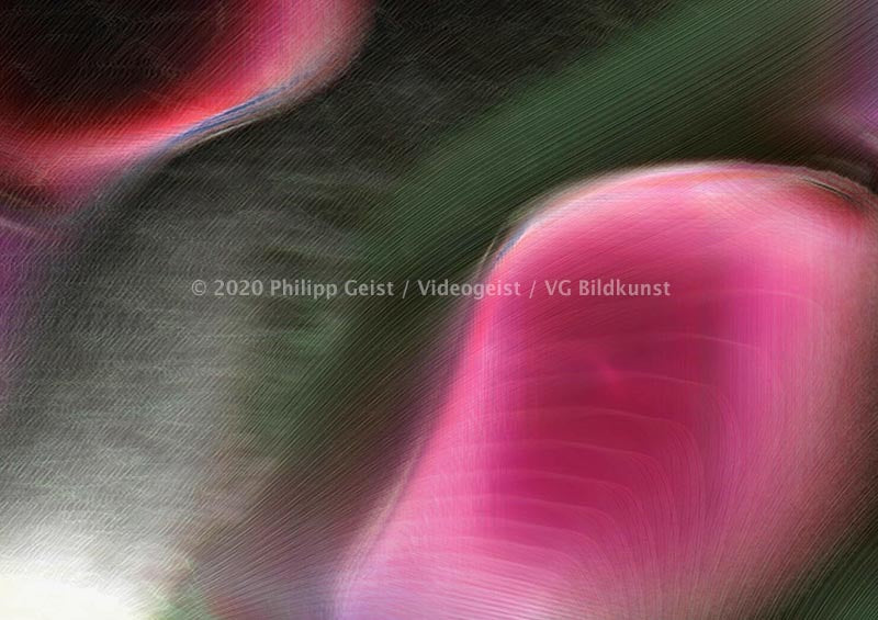 Generative Art / Videostill Beethoven Morph-Series 2020 (signed)