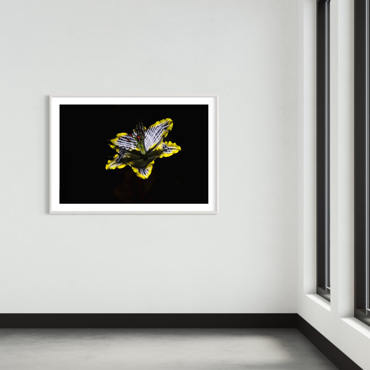 Hidden Places Lilie/ lily Flower 2019  (signed + Frame)