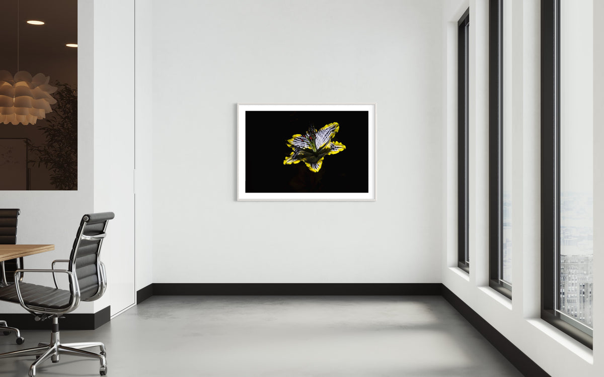 Hidden Places Lilie/ lily Flower 2019  (signed + Frame)