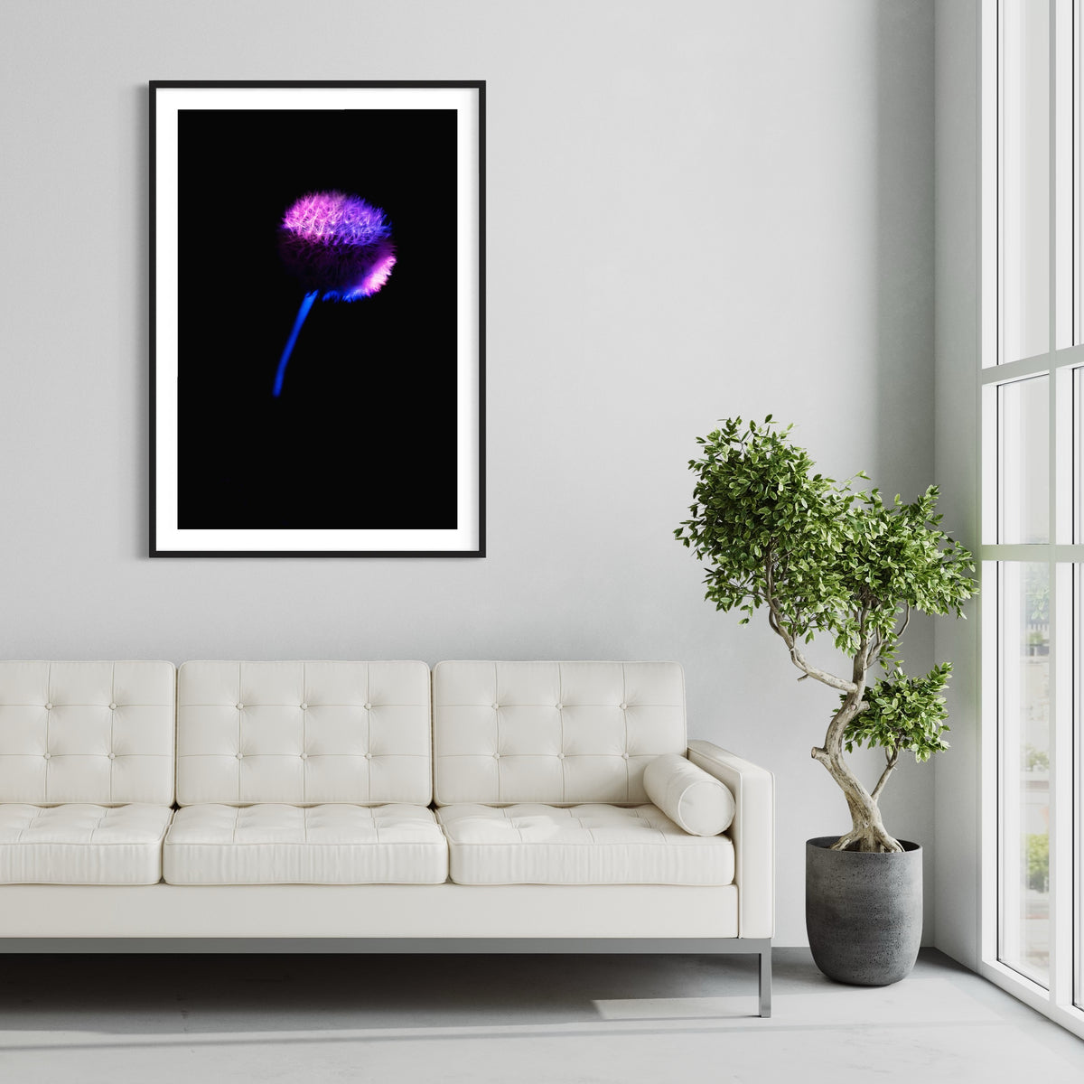Berlin Hidden Places blowball/ dandelion/  Pusteblume 2020  (signed + Frame)