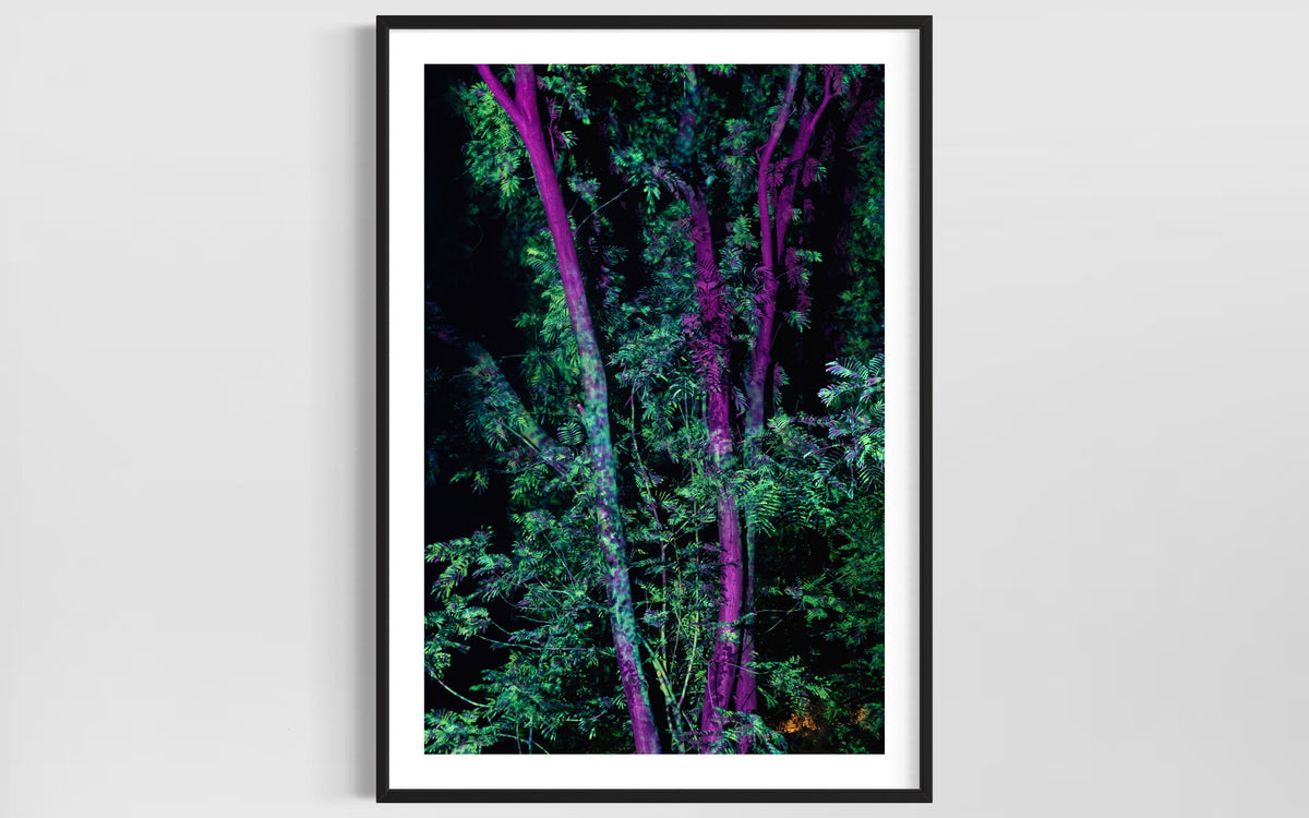 Hidden Places Project India 2017  (signed + Frame)