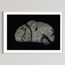 Load image into Gallery viewer, Hidden Places Stein/ Stone 2021 (signed + Frame)
